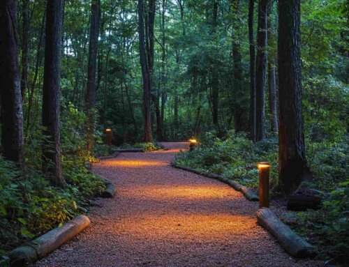 How Can Amber LED Lights Enhance Nostalgic Landscapes and Protect Wildlife?